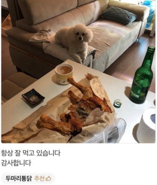 배민리뷰에 강아지 사진이 안보여 아쉬웠던 배민 사장님